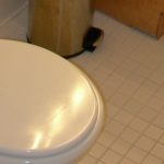 水道トラブルを未然に防ぐ生活術
